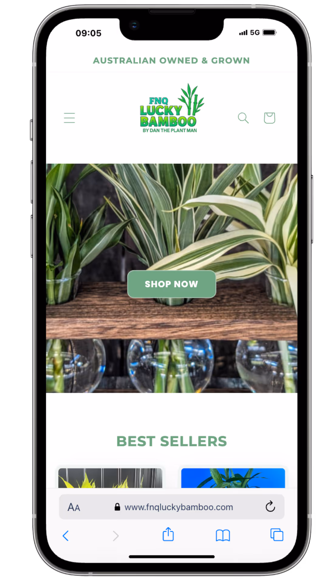Flash Financial mobile