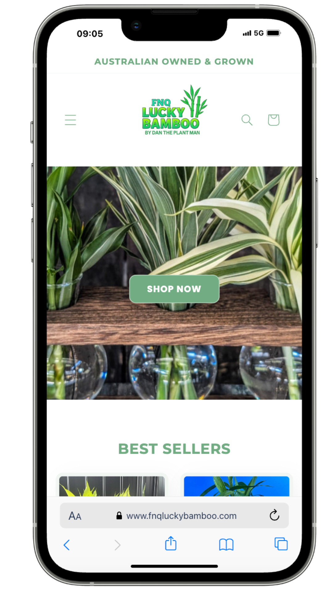 Flash Financial mobile