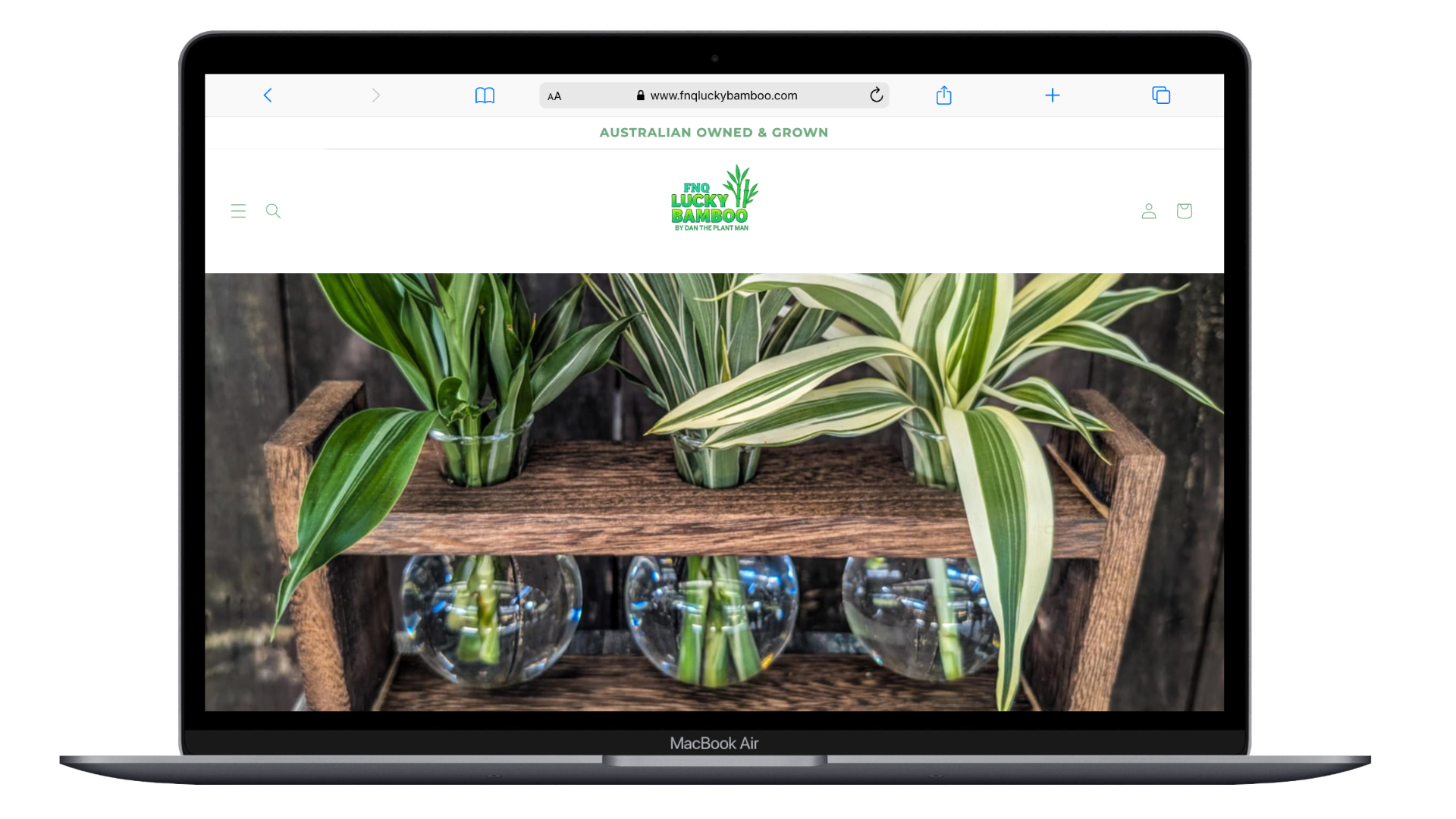 Flash Financial desktop