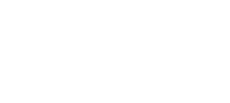 Bata Industries logo