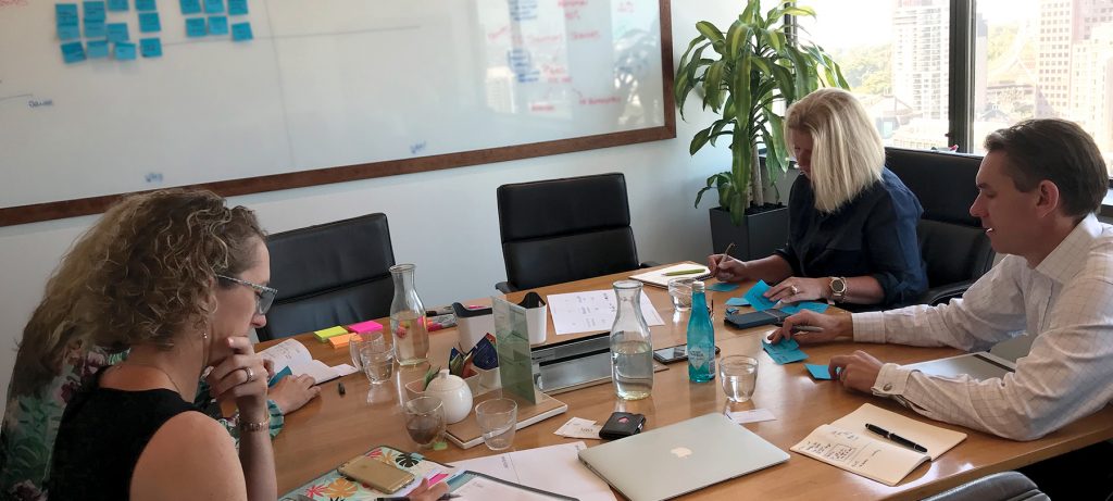 marketing consultant budget management, campaign development and execution