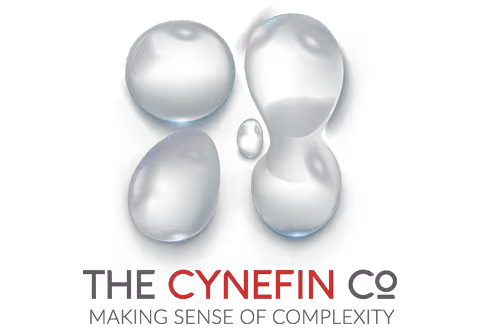 Abstract glossy black shapes arranged in a cluster above the text 'THE CYNEFIN CO MAKING SENSE OF COMPLEXITY'.
