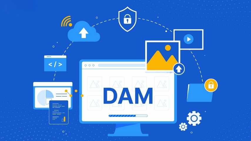 Why Ecommerce Businesses Need a DAM System