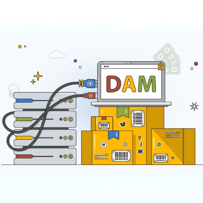 Why DAM Ecommerce Is Important for Long-Term Ecommerce Growth