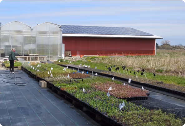 Solar panels installed with USDA REAP grant funding