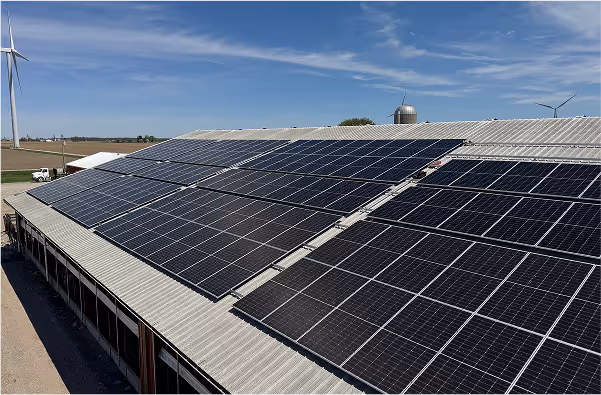 Solar panels installed with USDA REAP grant funding