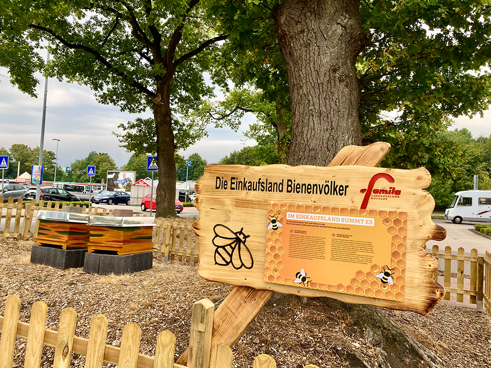 Transplant Kids e. V. – Verein des Monats mit Aktionstag am 7. Juni 2025 im Einkaufsland Wechloy.