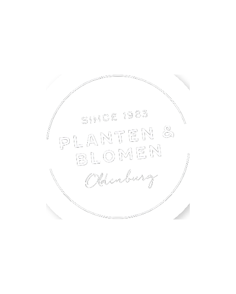 Planten & Blomen