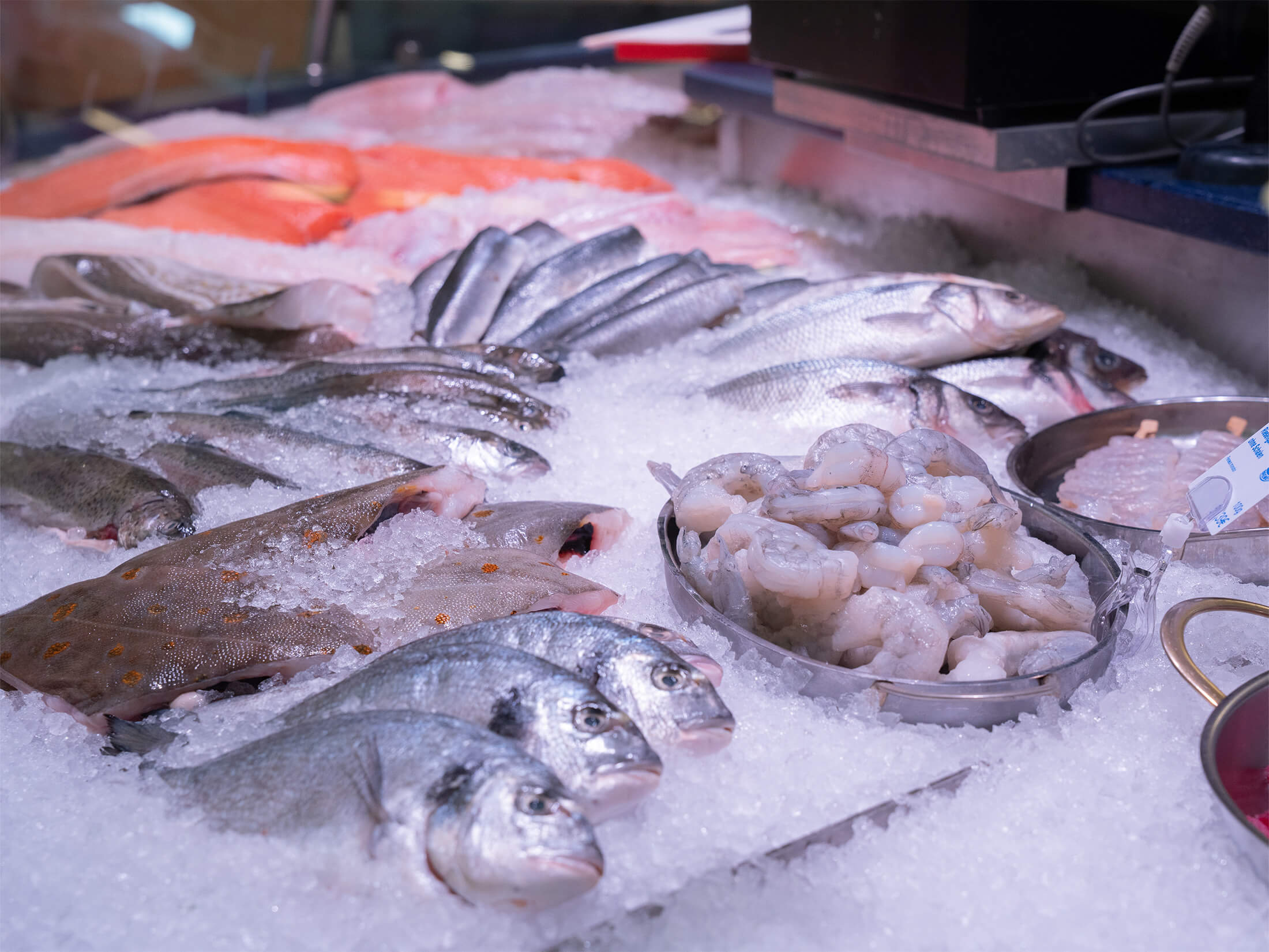 Frische ganze Fische und Meeresfrüchte auf Eis – direkt aus der Fischtheke.