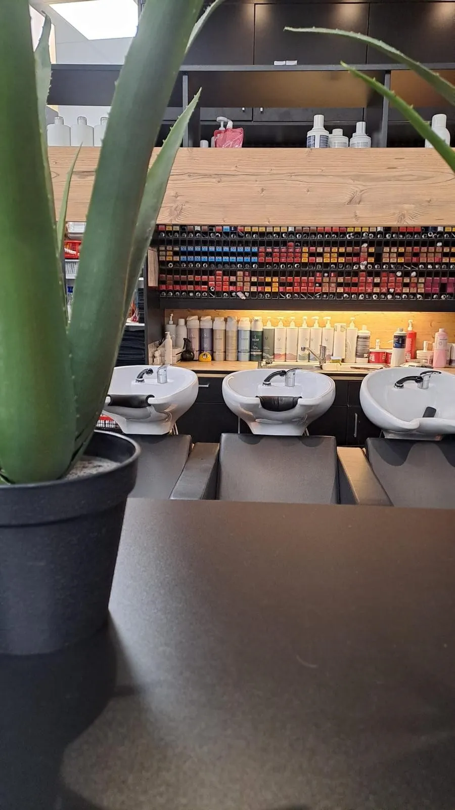 Moderne Wascheinheiten und ein großes Farbsortiment im Ryf Salon – professionelle Ausstattung für individuelle Stylings.