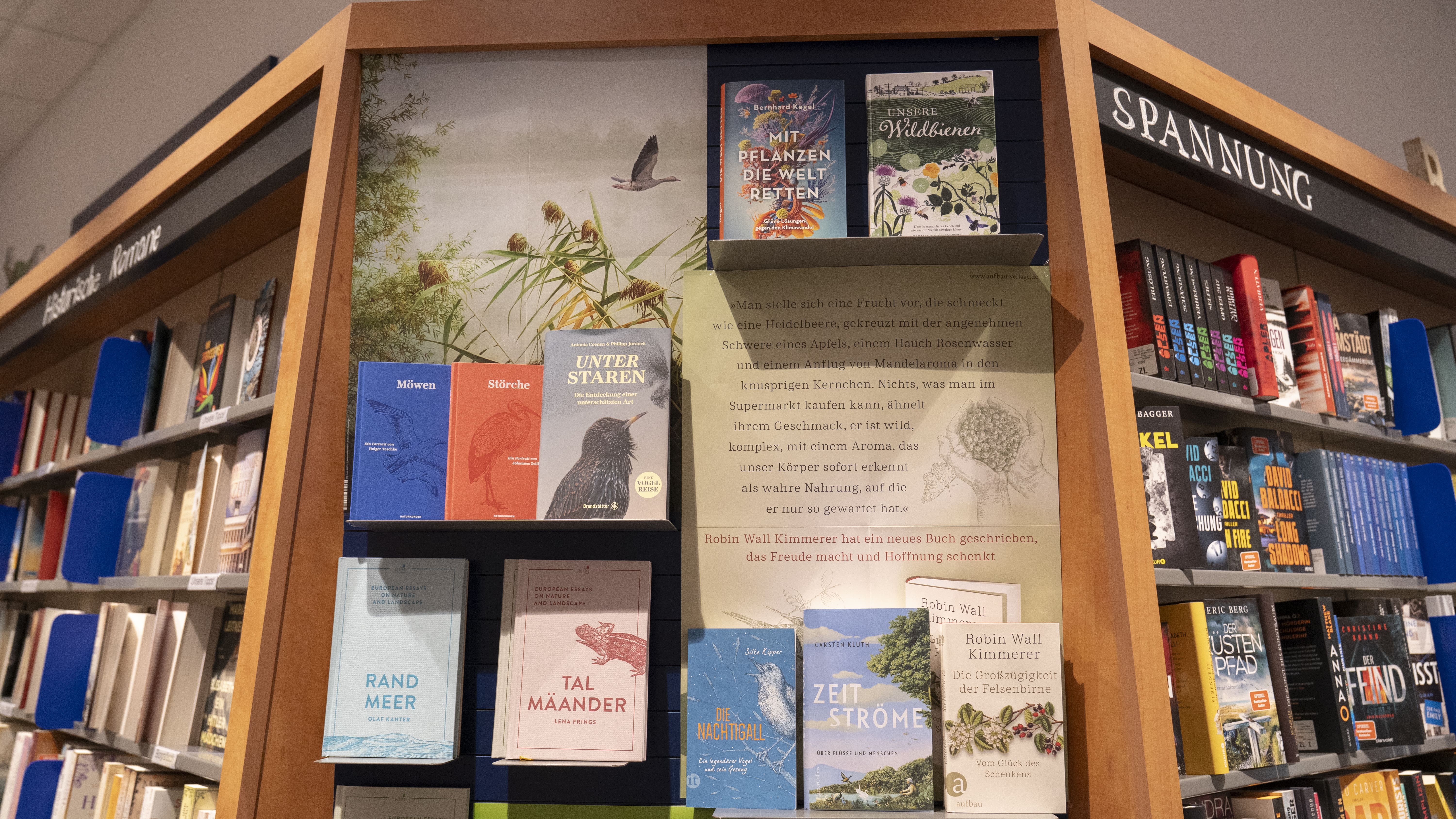 Romanauswahl in der Buchhandlung