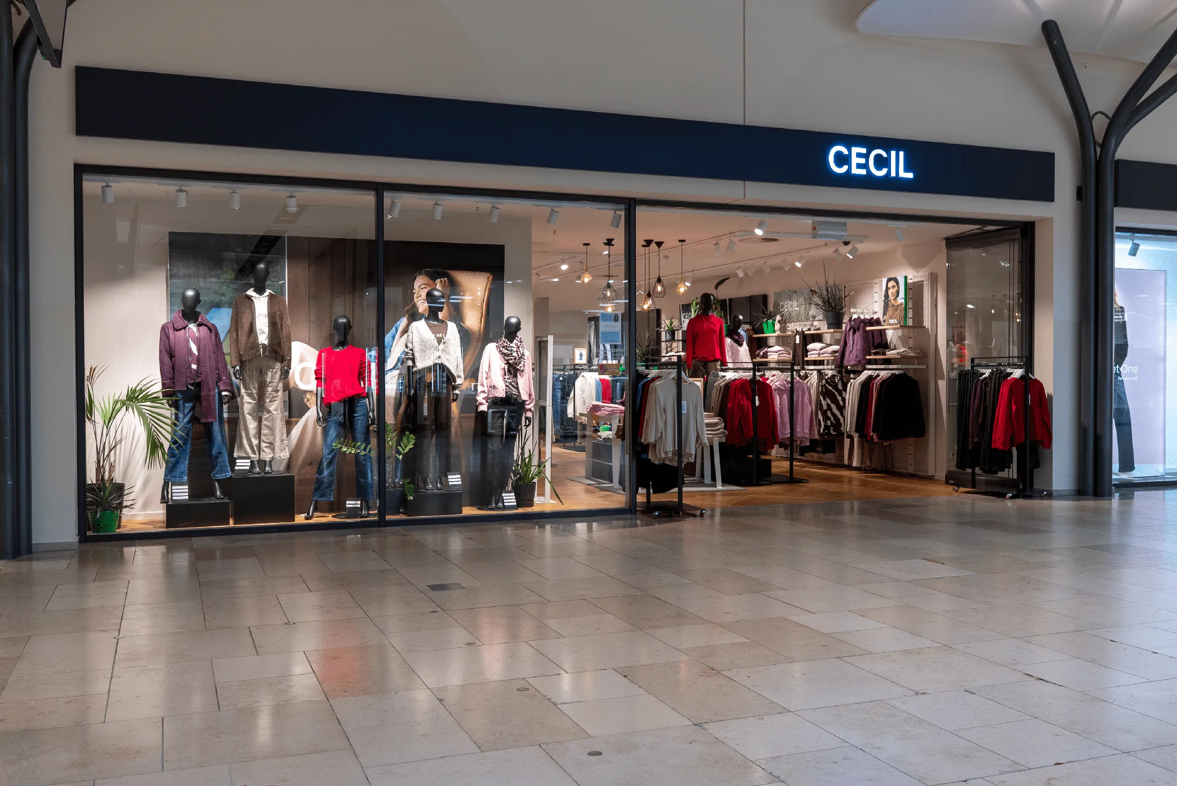 Cecil