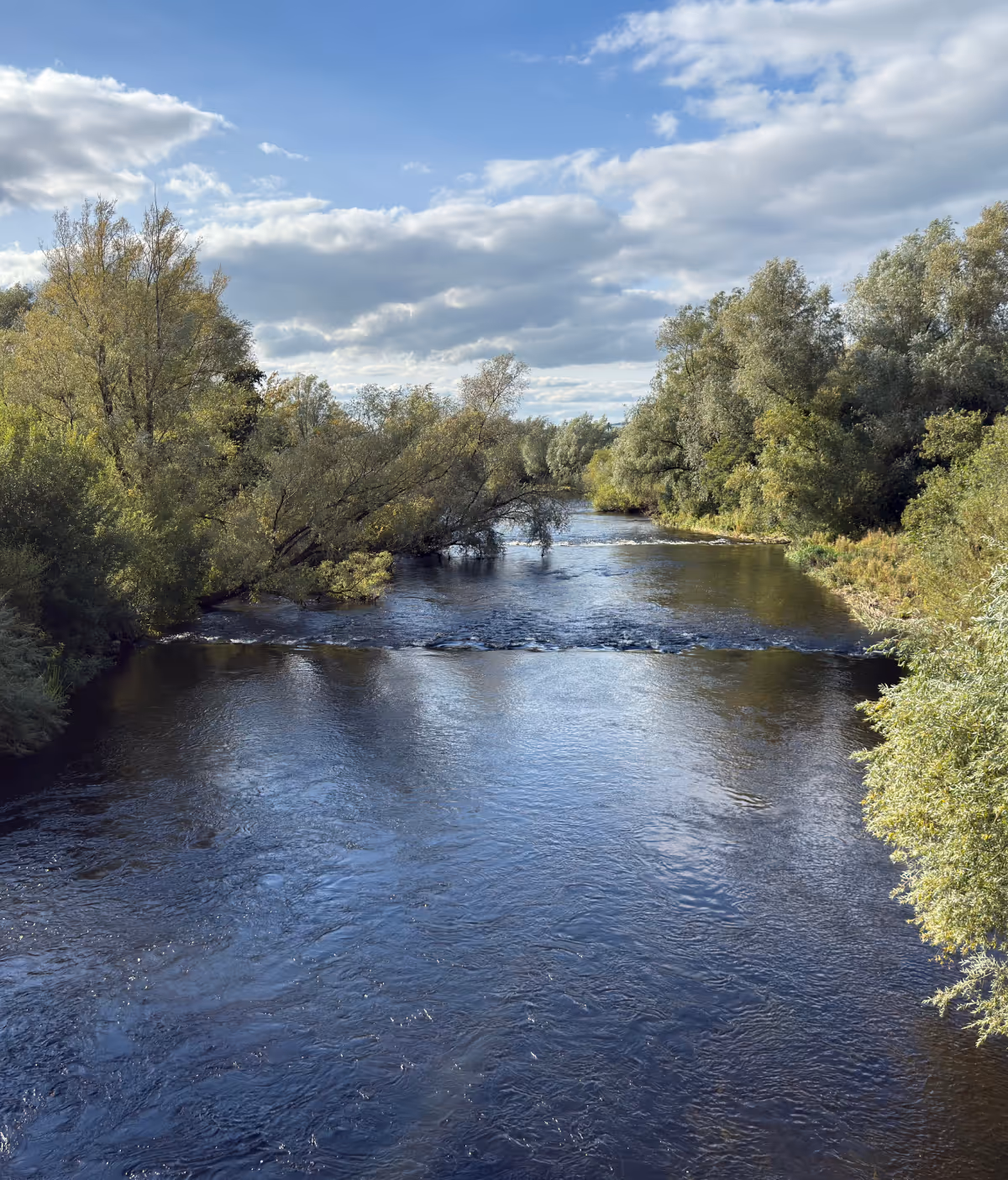 View from the Living Bridge, a pedestrian bridge across the River Shannon linking the University of Limerick's premises.
