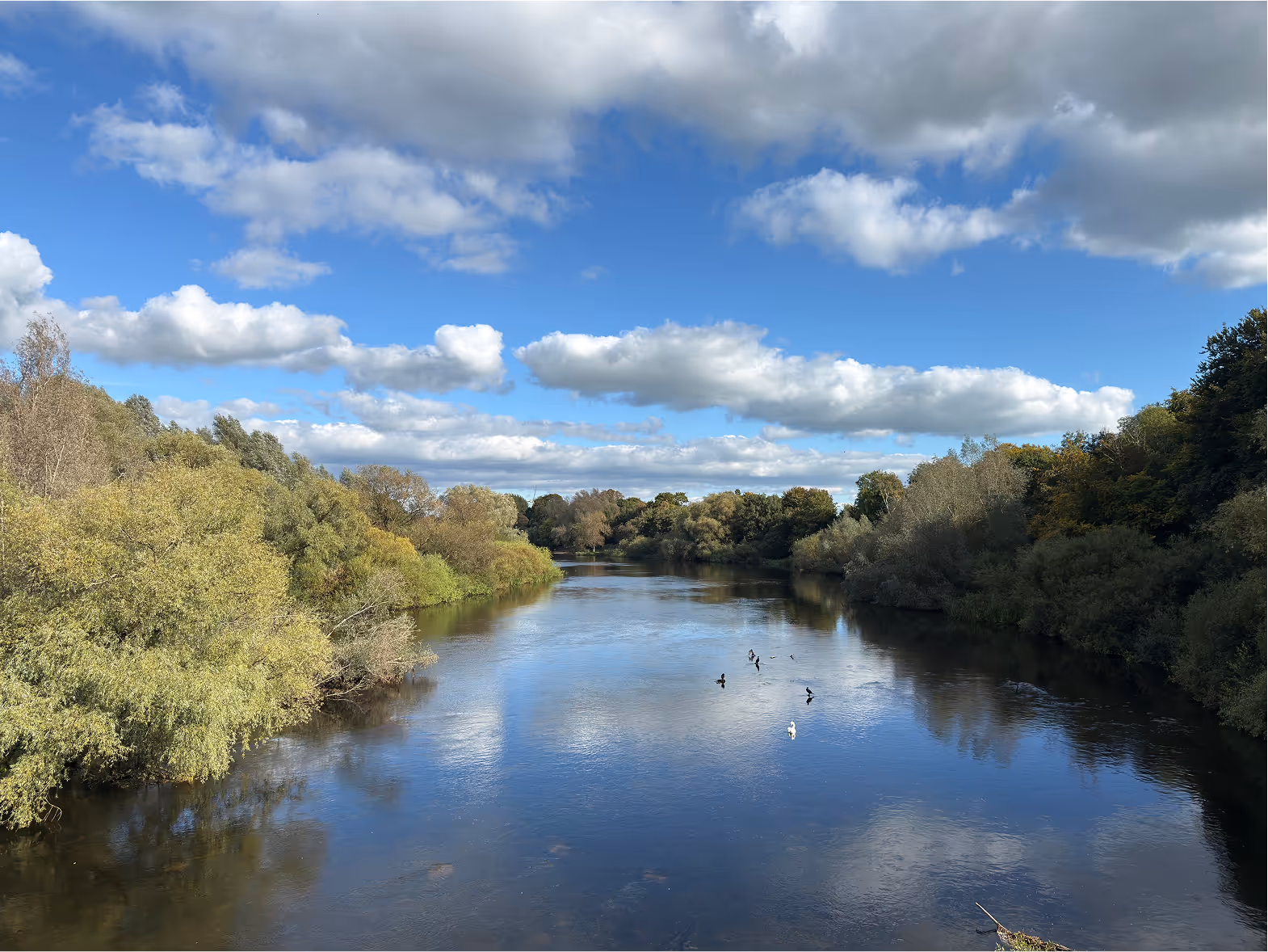 View from the Living Bridge