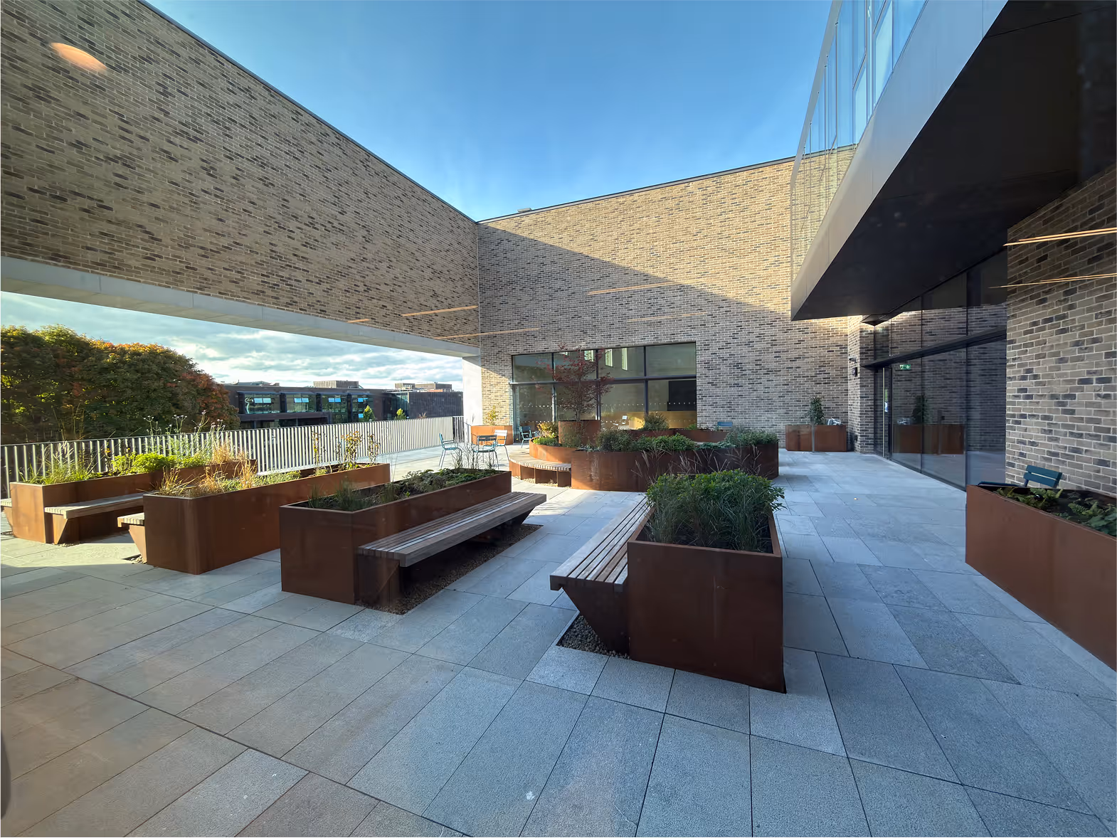 Open space for rejuvenation