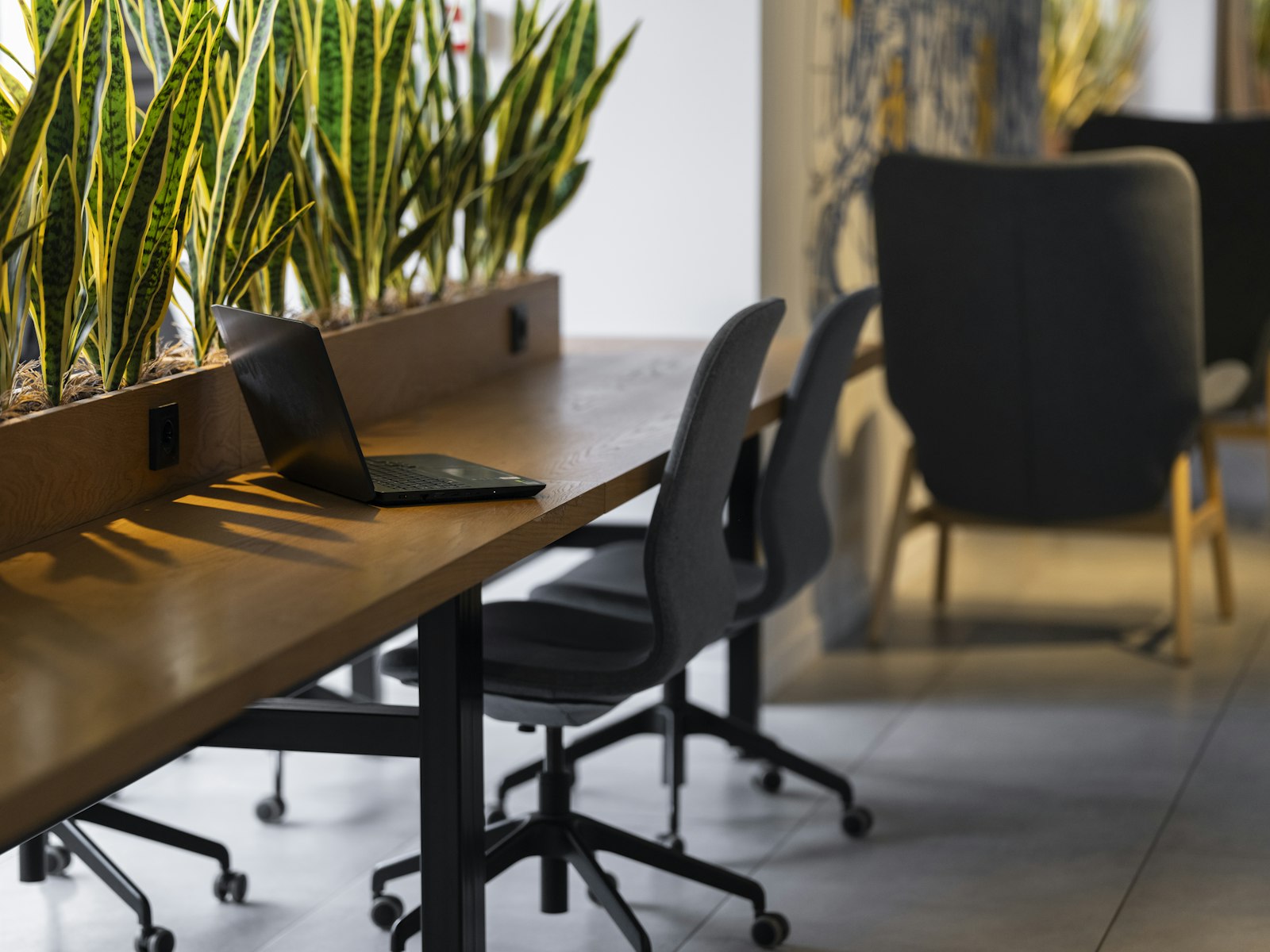 Grande table de travail en bois avec un ordinateur portable ouvert dans un espace calme et vide