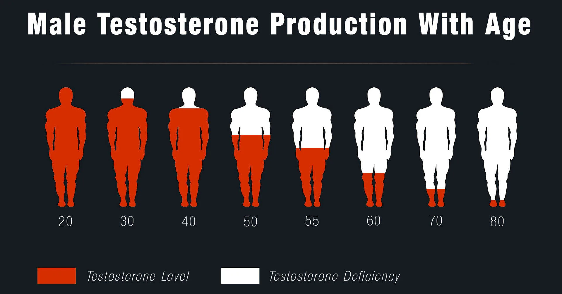 Infographic titled ‘Male Testosterone Production With Age’ showing silhouettes of men at ages 20, 30, 40, 50, 55, 60, 70, and 80. The red-filled areas represent testosterone levels, which decrease progressively with age—from fully red at 20 and 30, to partially red by 50, and mostly white by 70 and 80. A legend indicates red for testosterone level and white for testosterone deficiency.”