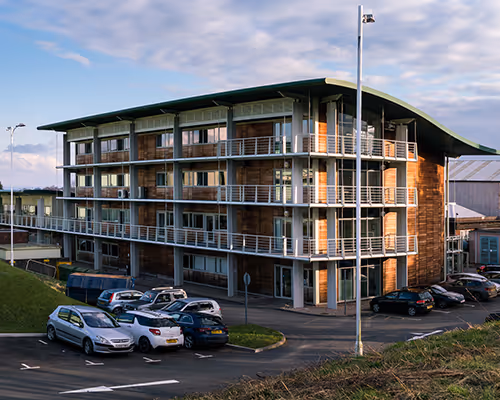 MHSP - Phase 1 image