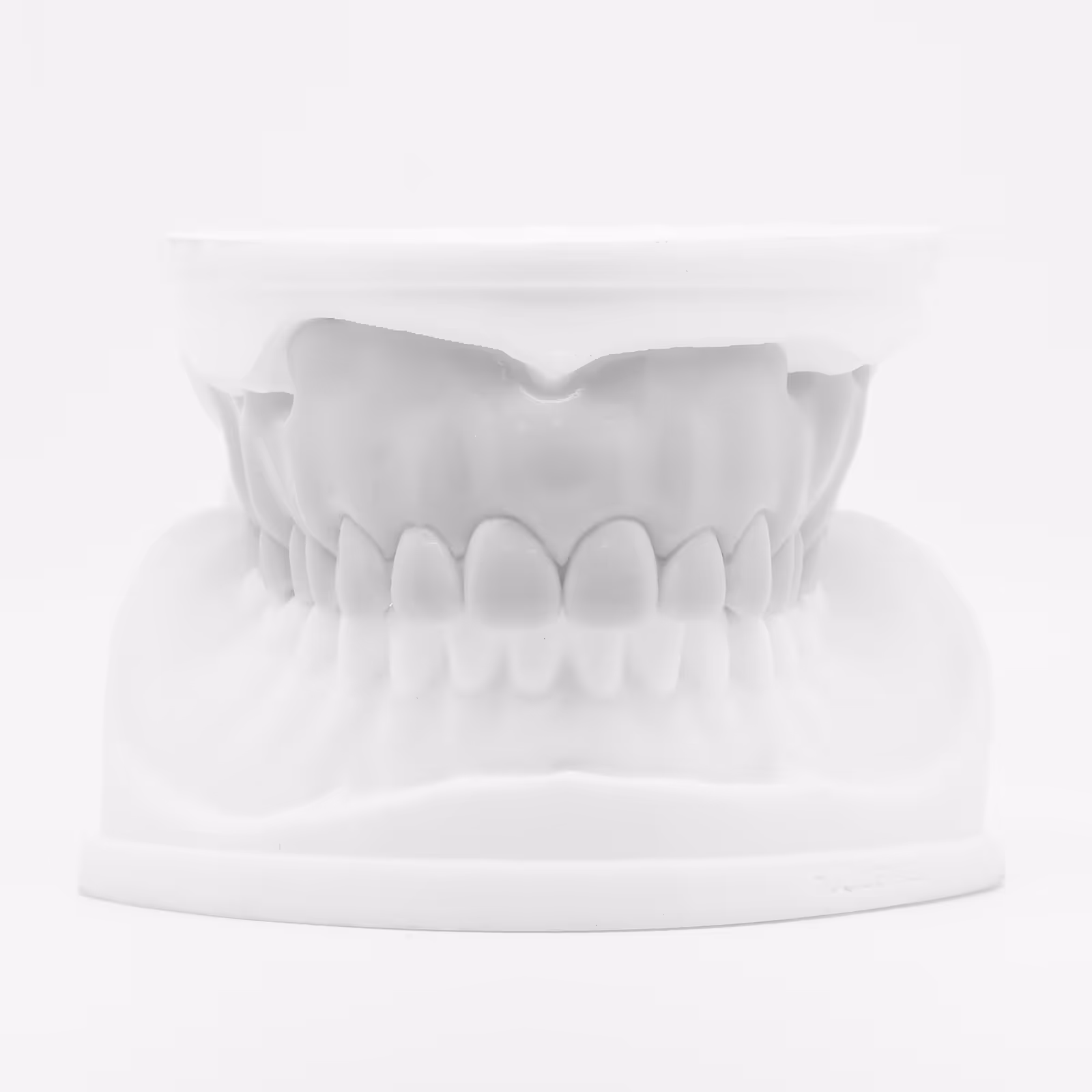 Complete printed denture for try-on fitting - H32 Dental