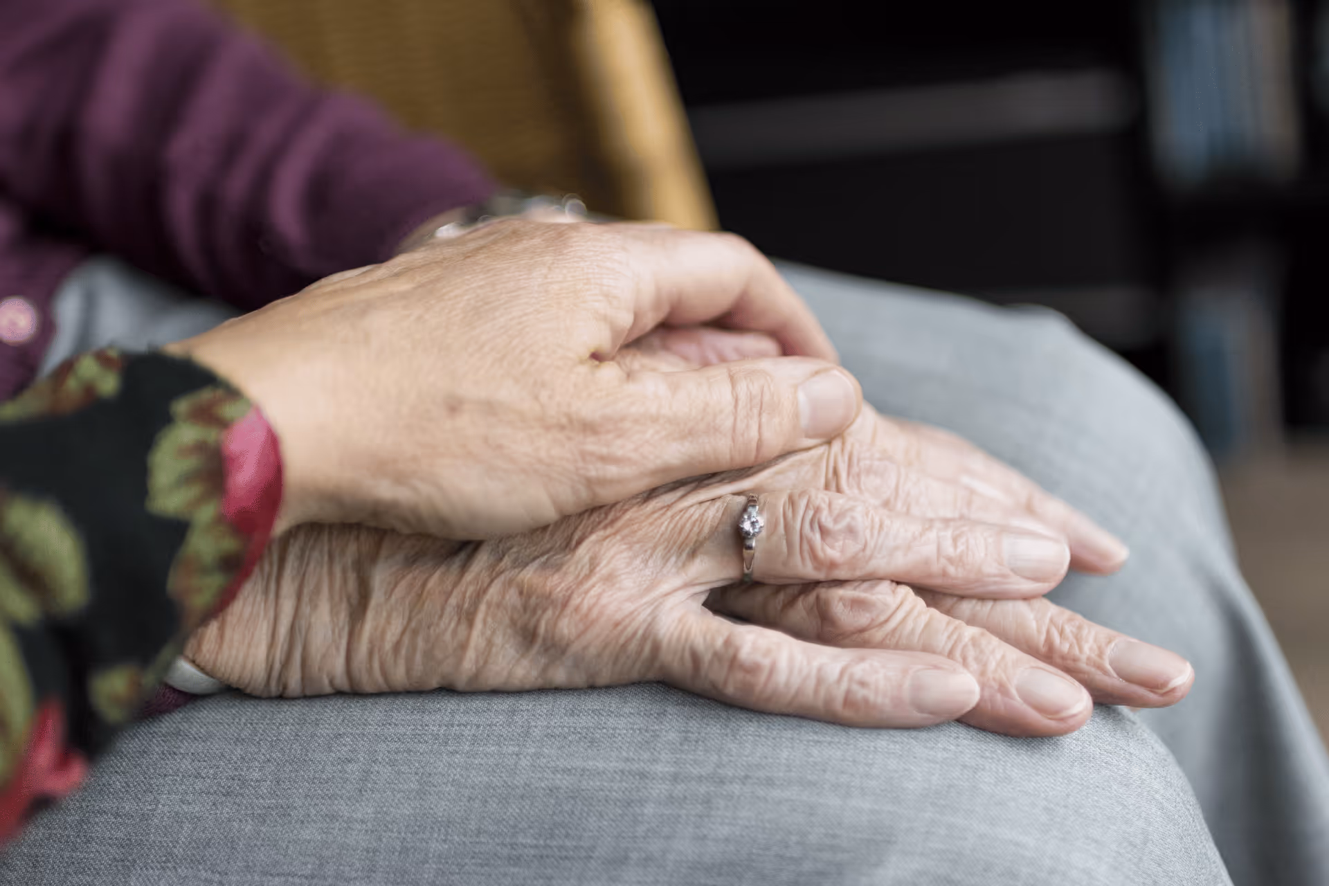 Exploring Concerns and Considerations in the Senior Living Landscape: A Closer Look's Independent Research