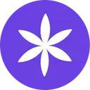 USD*