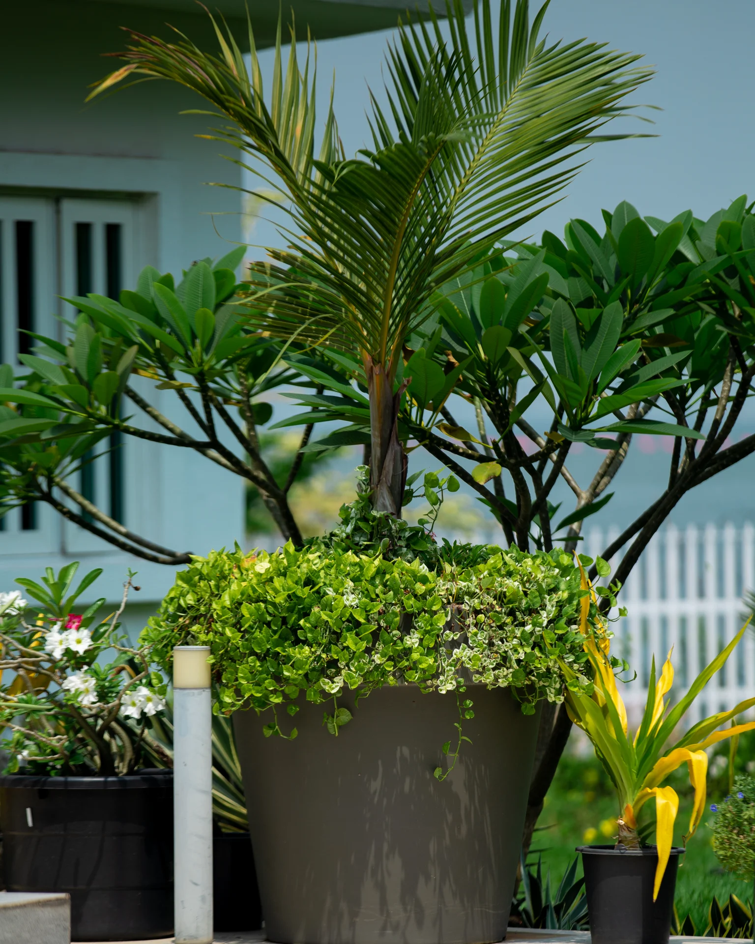 Meeting room with full facilities at Amana Retreats