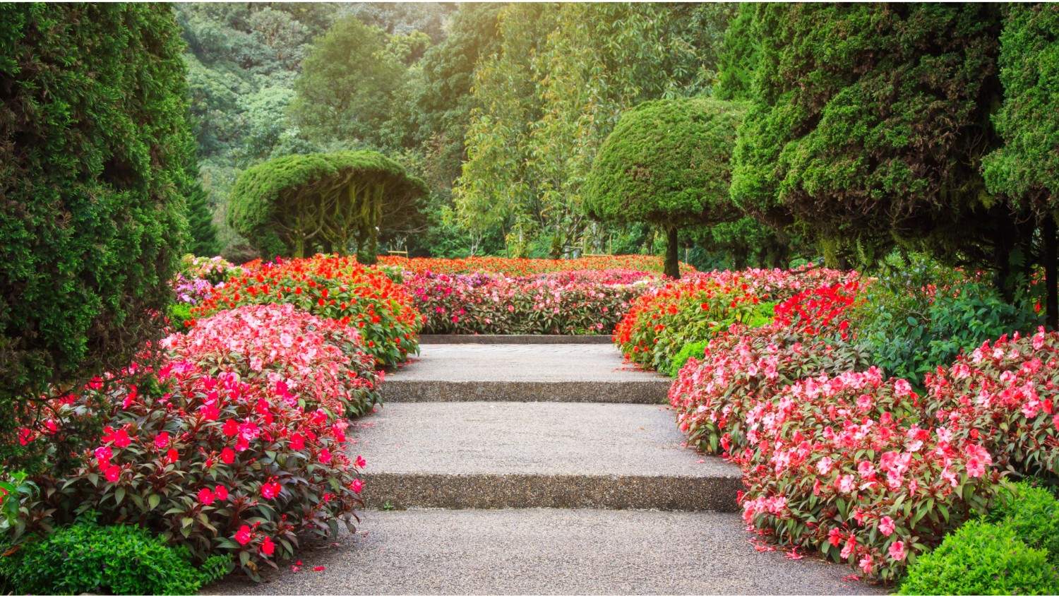 Stroll Through the Enchanting Miracle Garden