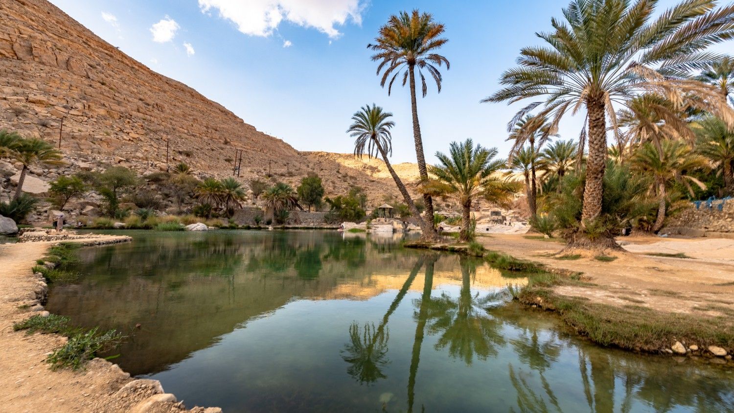 Explore Al Marmoom Desert Conservation