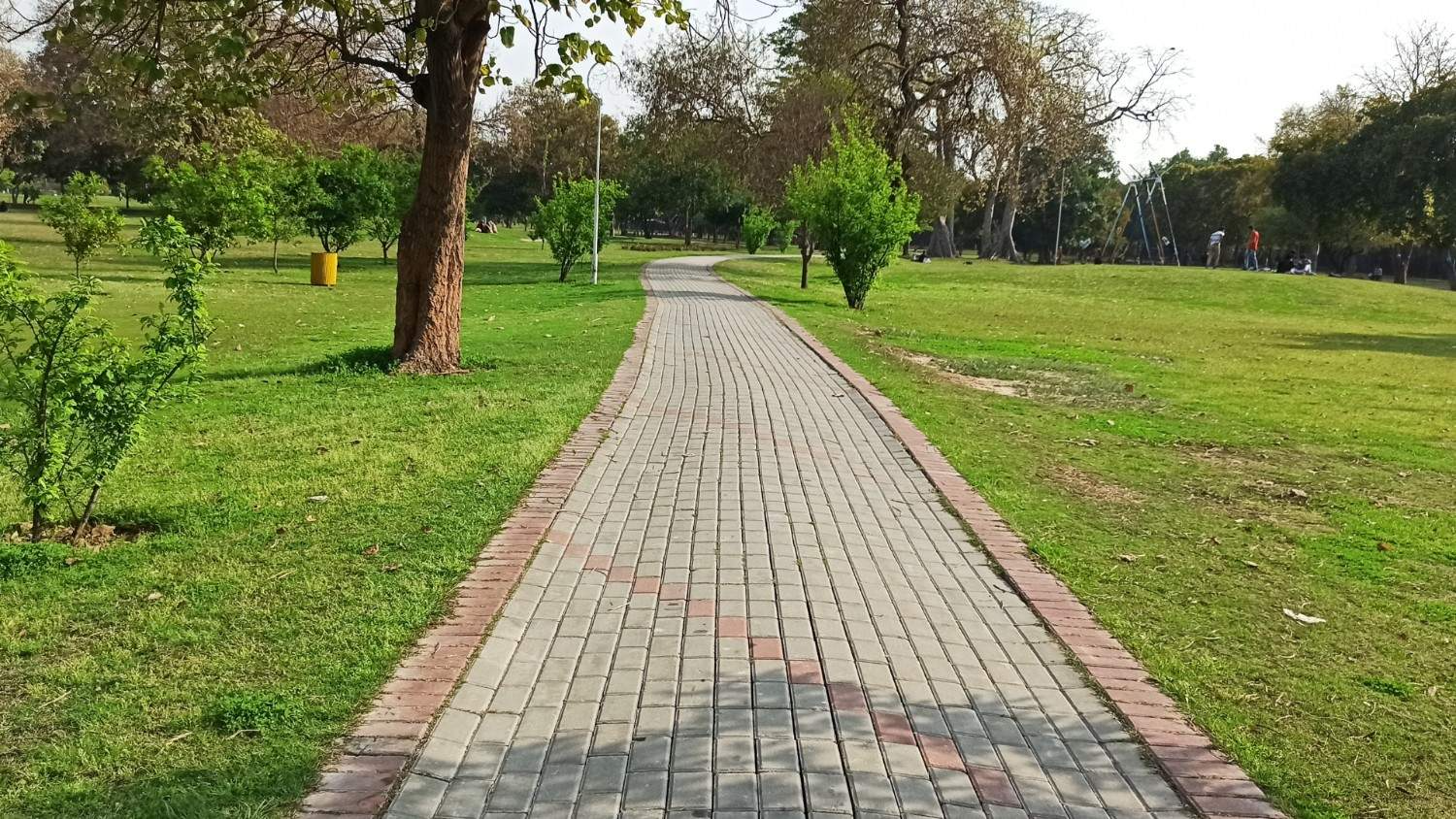 A Stroll Through Al Ittihad Park and the Palm Jumeirah Boardwalk