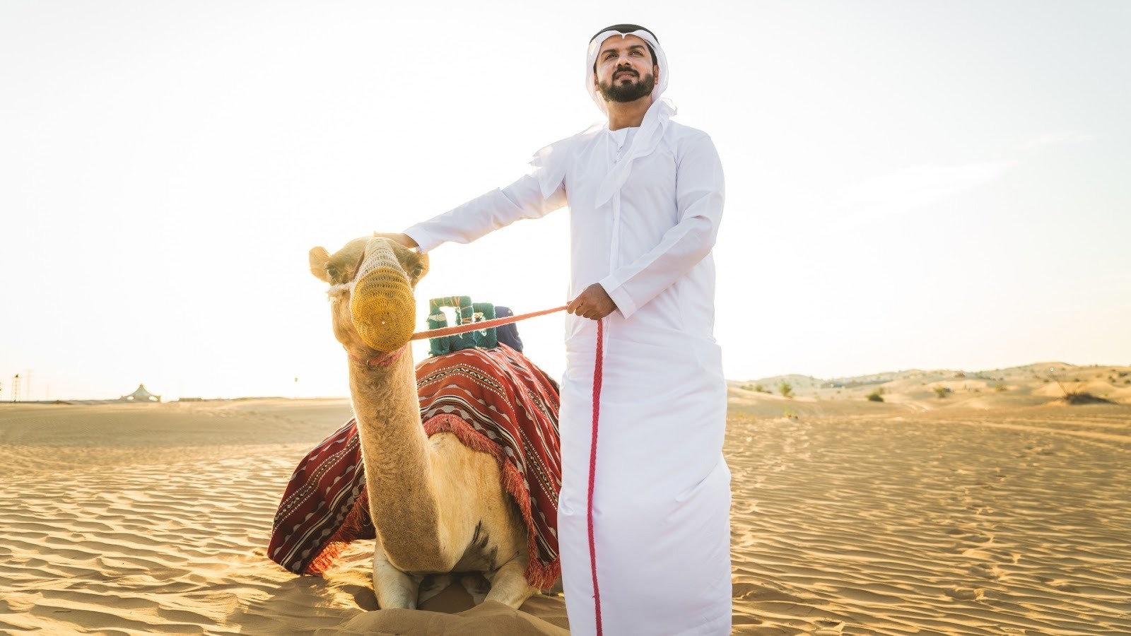 Culture in the Spotlight