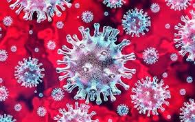Coronavirus et Sclérose en plaques