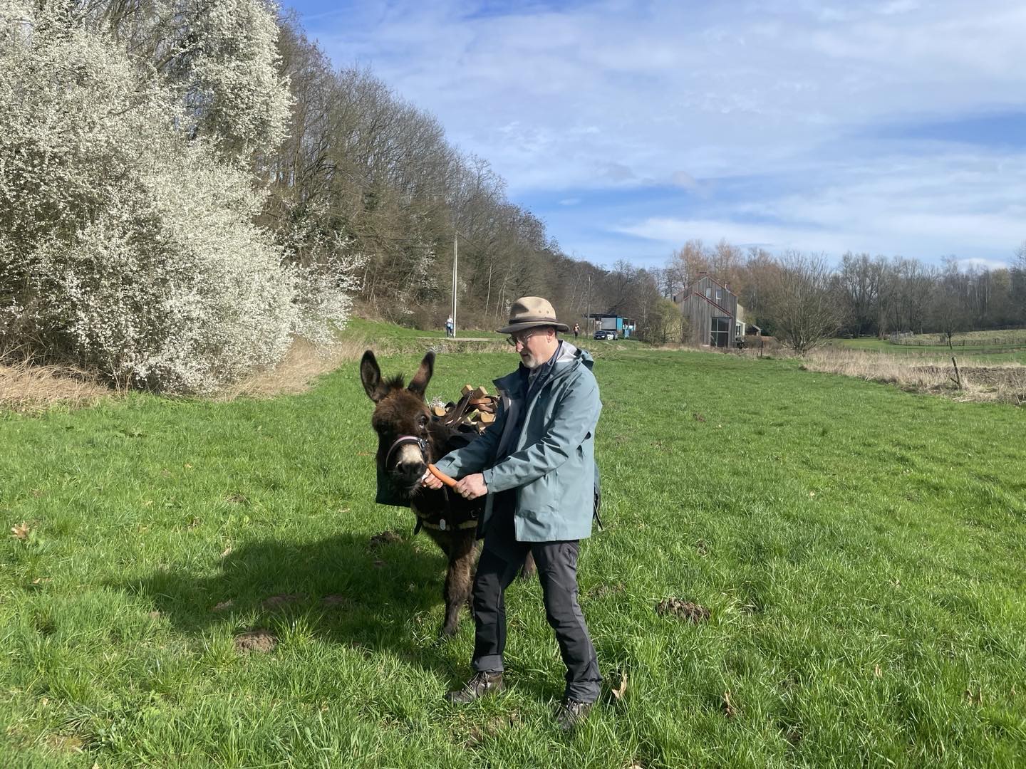 L'âne Pippa