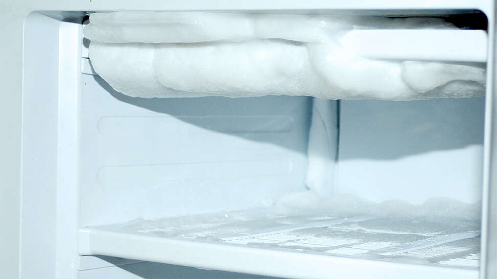 energy protect diepvries te onderhouden