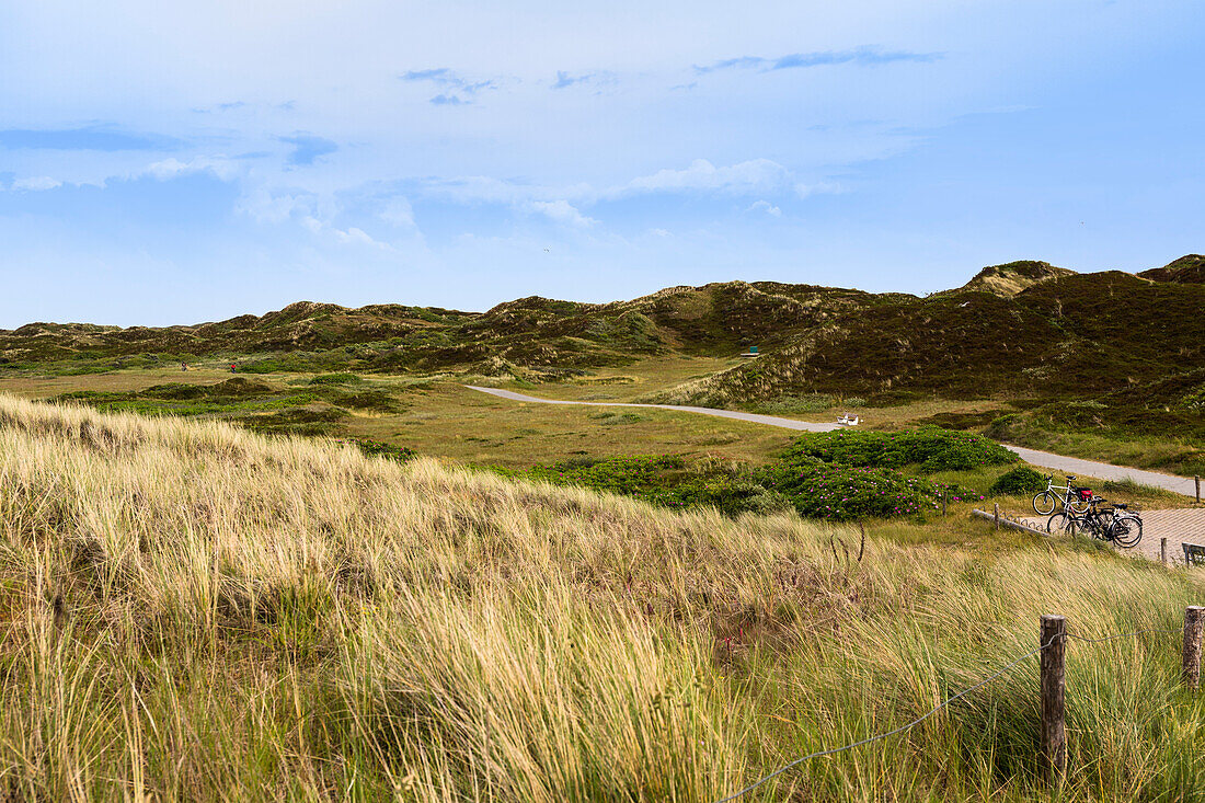 Küstenschutz auf Langeoog – Deiche, Dünen und Klimawandel
