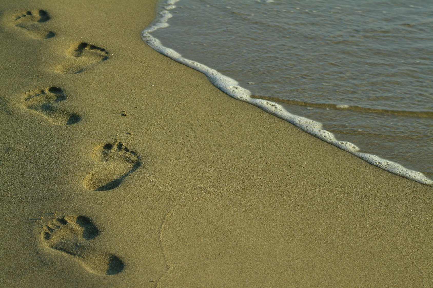 Preise für die Fähre nach Langeoog