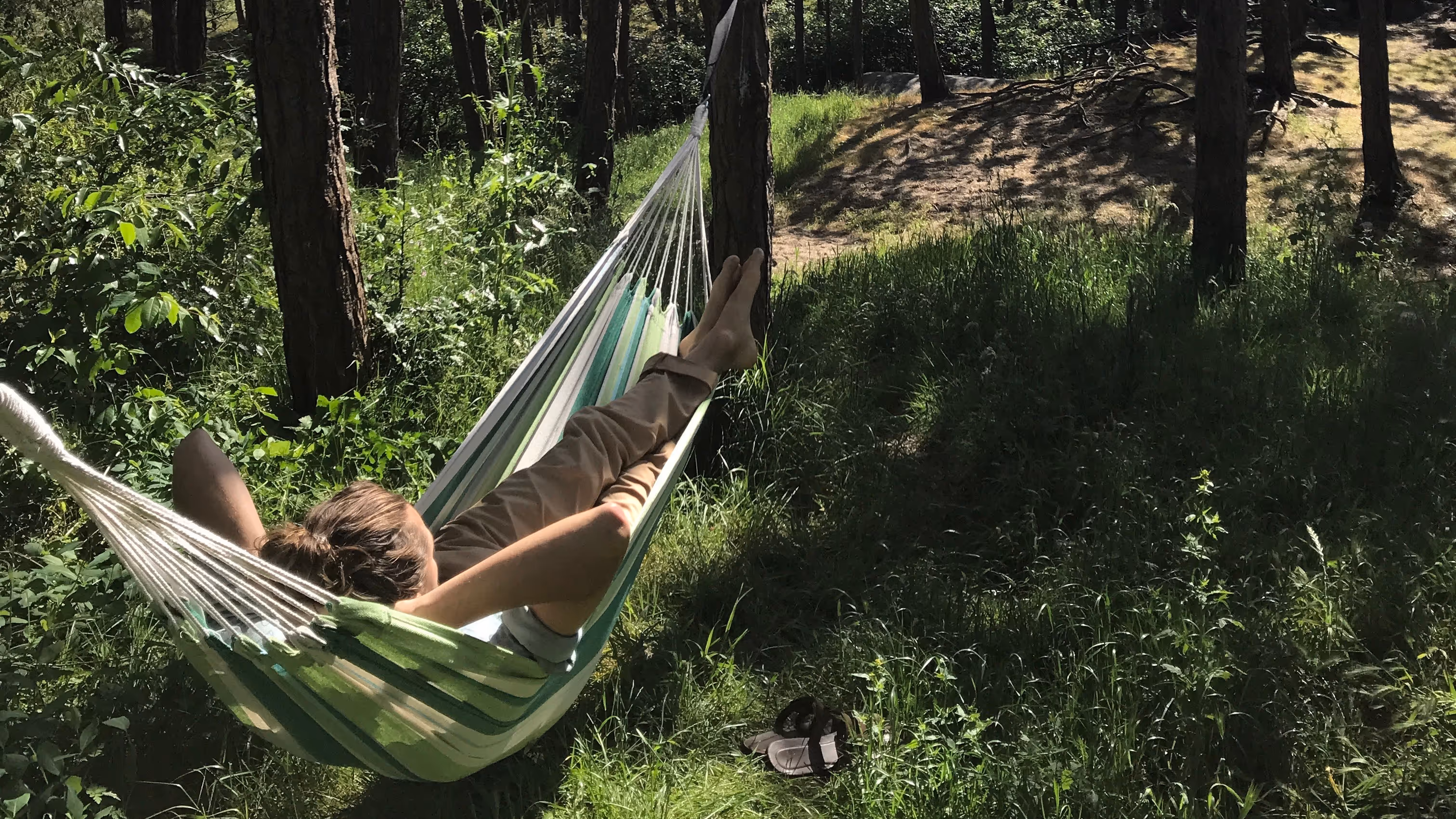 Frije Folks regeling foar solo reizgers