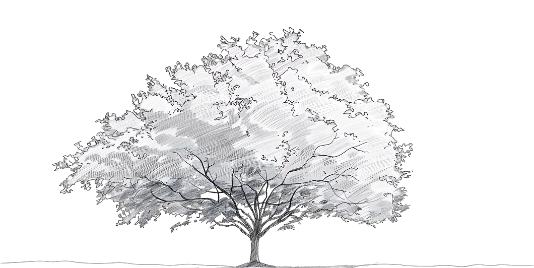 tree image