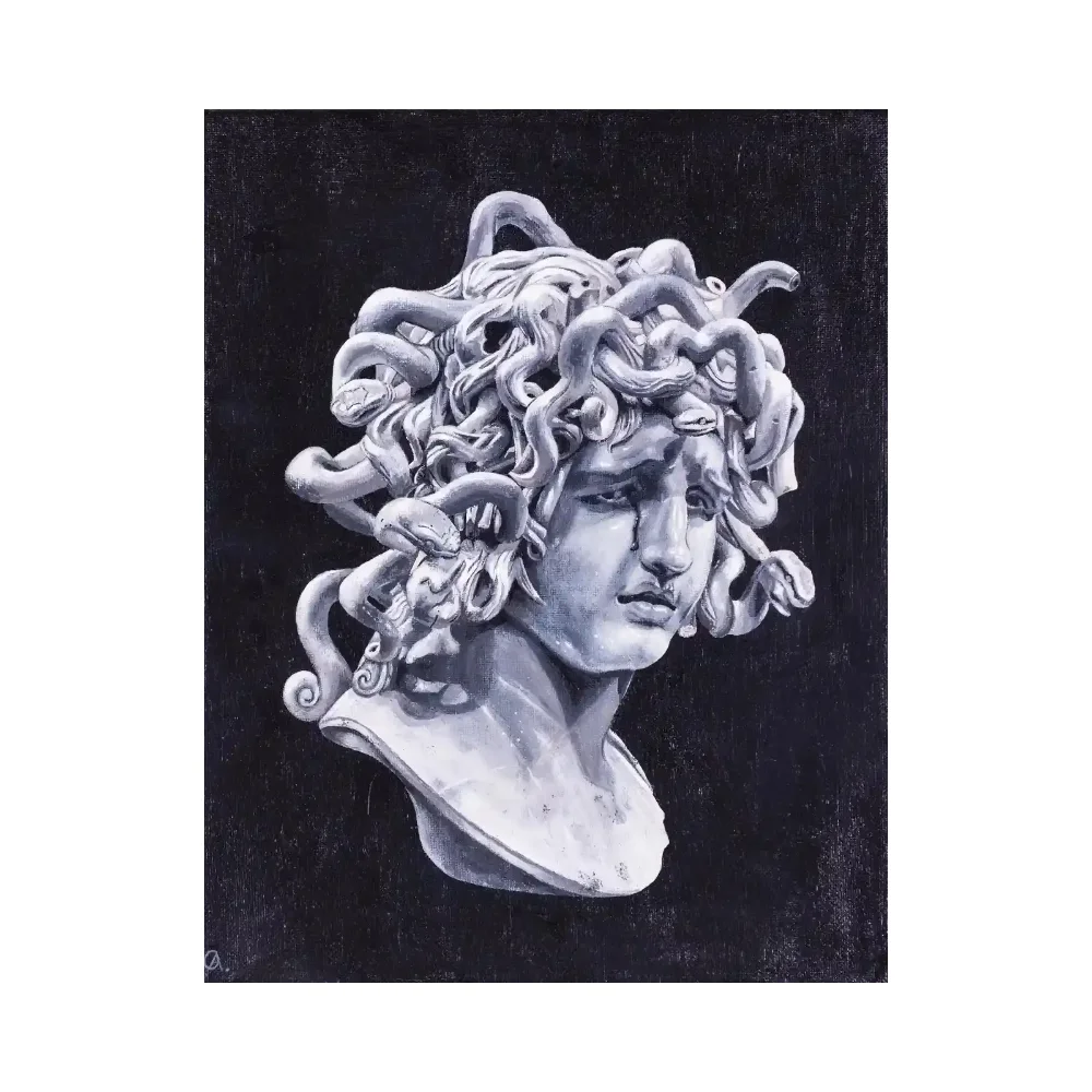 "The Misunderstood Girl," a portrait of the mythological figure Medusa. The artwork shifts the narrative from "villain" to "victim," emphasizing her humanity and strength. It depicts her transformed state with snakes for hair and a "gaze of destruction," but with a focus on reclaiming her soul, innocence, and resilience.