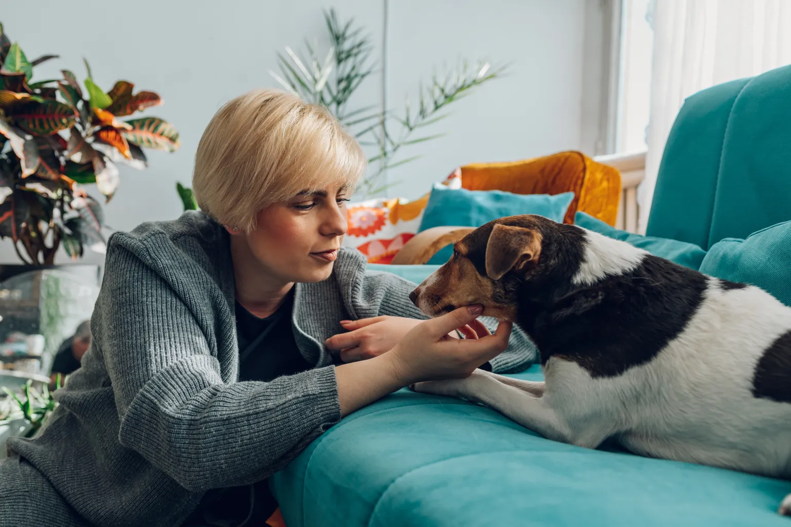woman with dog stock image
