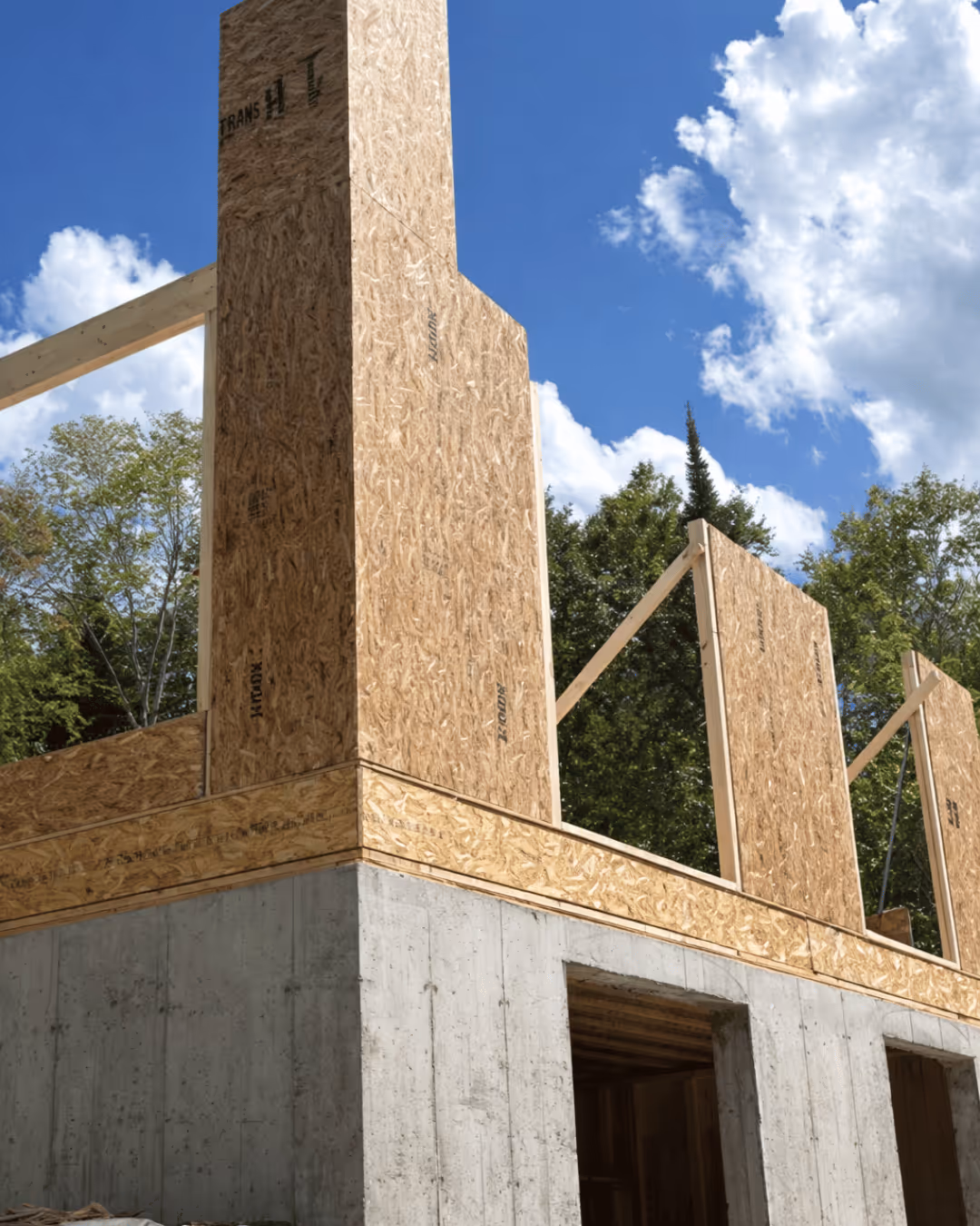 Deux travailleurs construisent un mur en panneaux de bois OSB sur un chantier de construction par une journée ensoleillée.