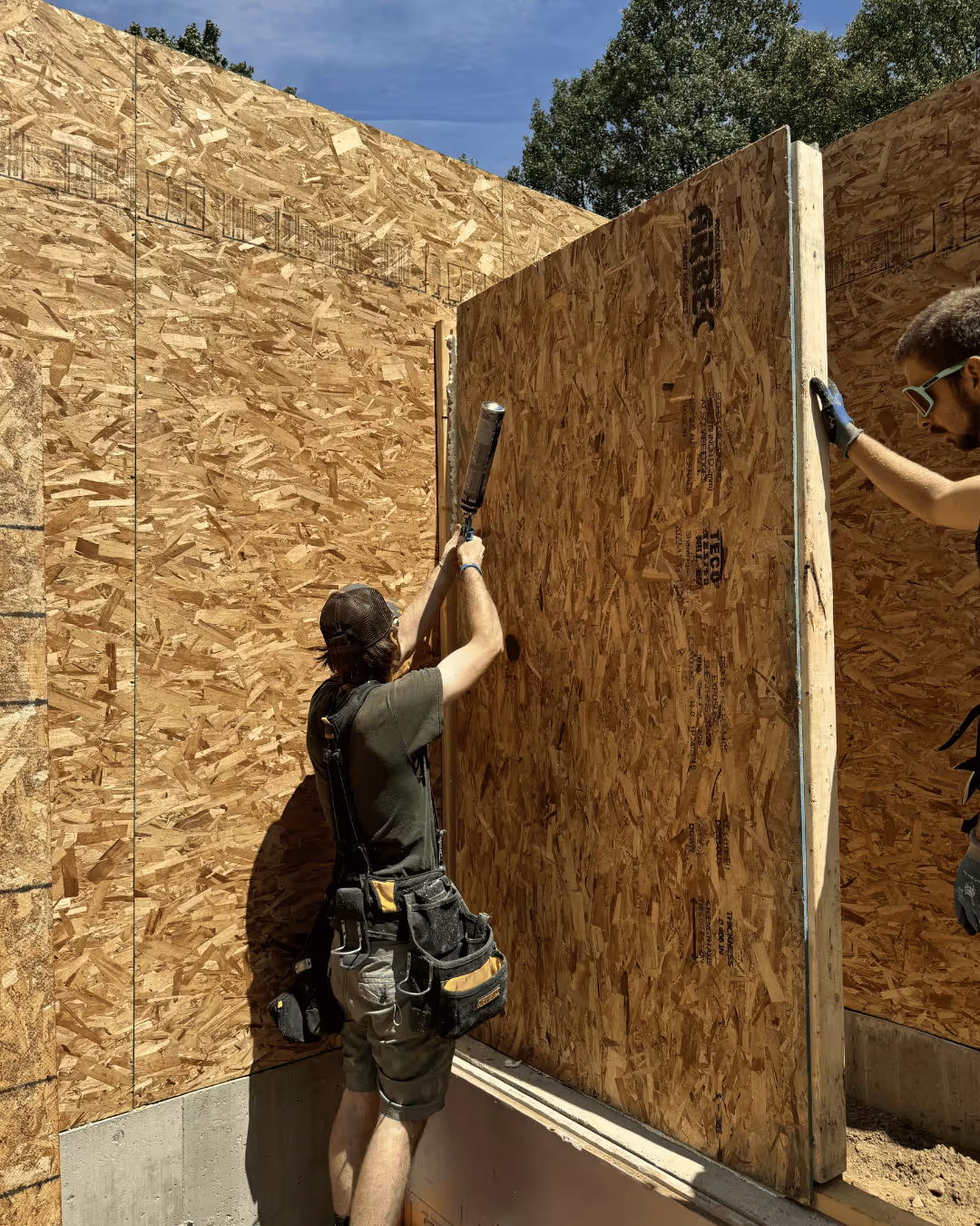 Deux ouvriers construisent un mur en panneaux bois pressés avec isolation, en plein chantier sous un ciel bleu.