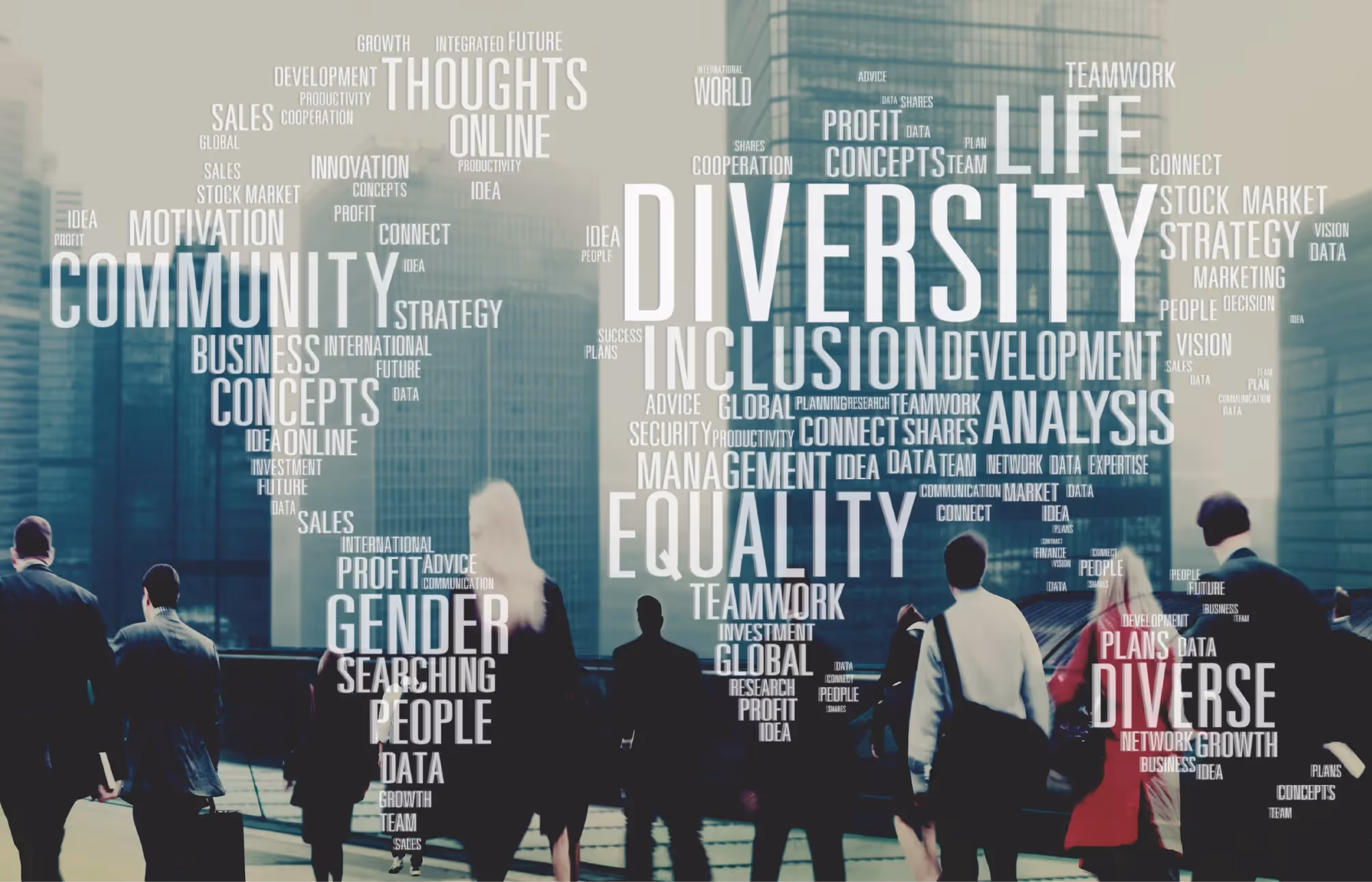 Diversity Initiatives