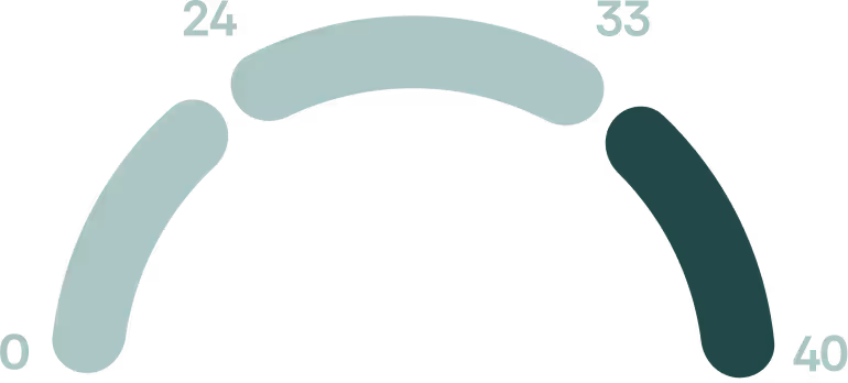 Circular progress bar showing progress from 0 to 40 with segments marked at 24 and 33.