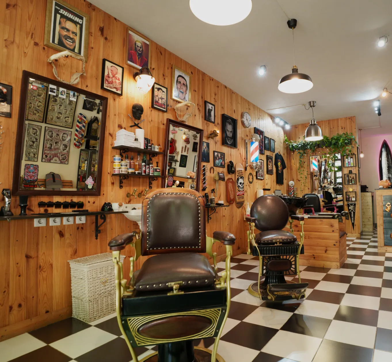 image of pet grooming services