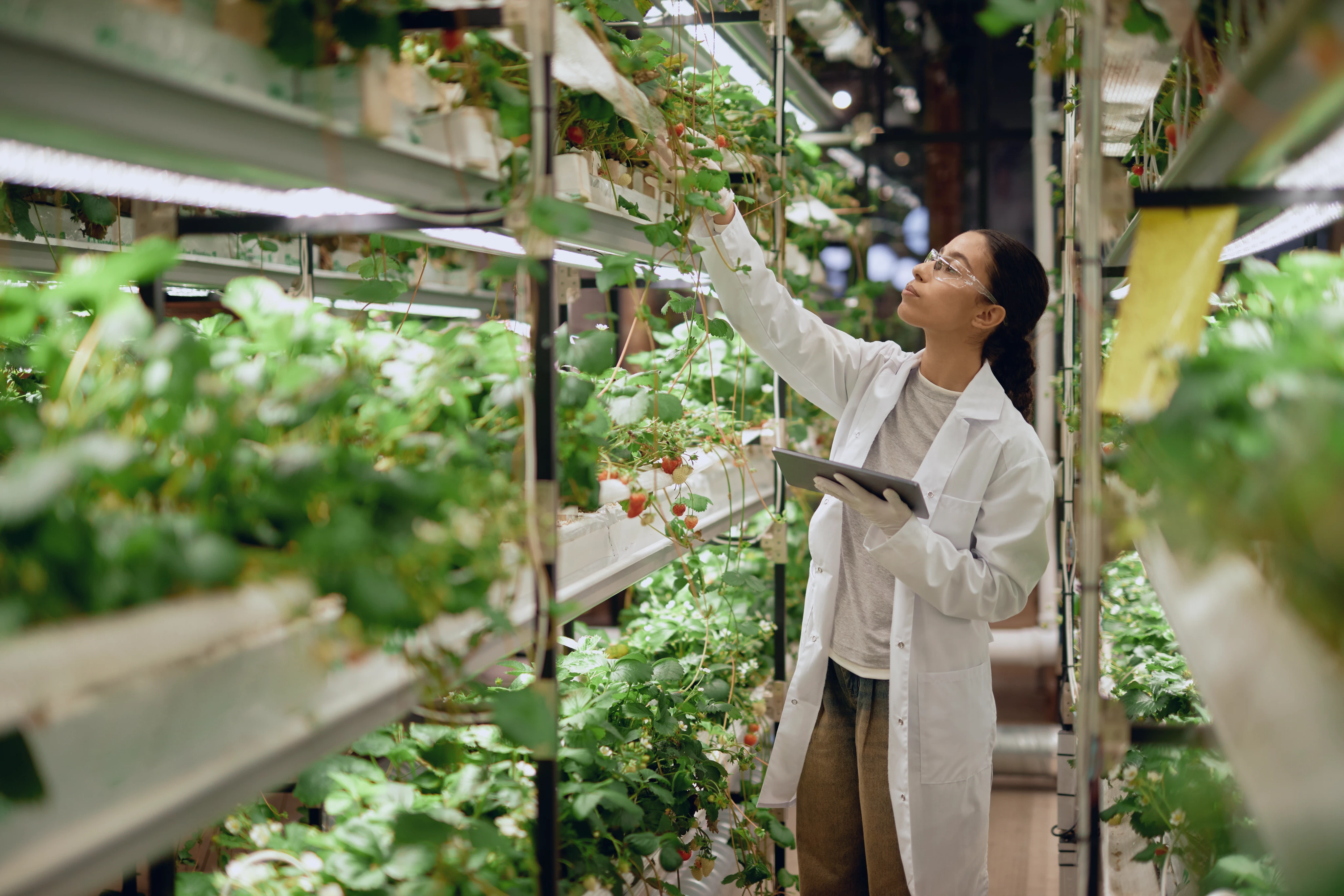 A woman working with plants in a greenhouse