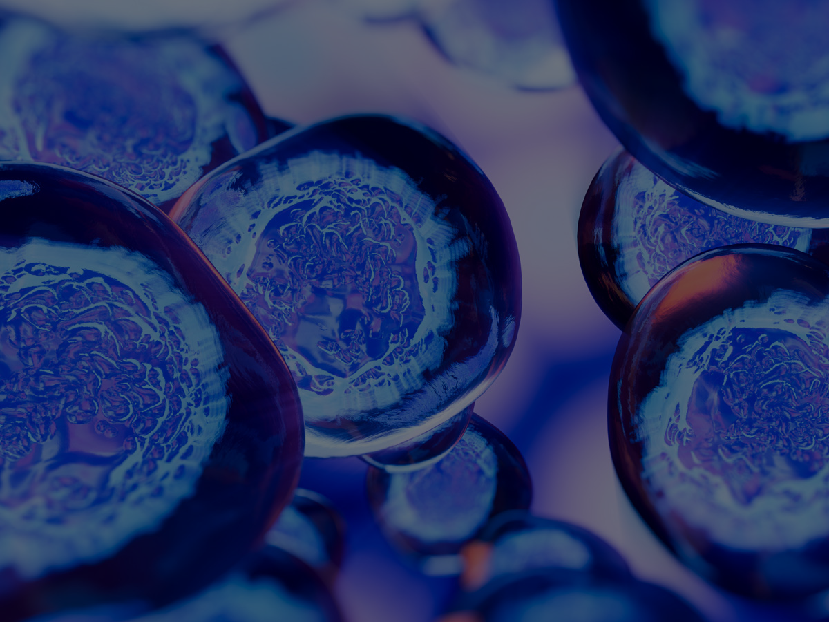 Train and validate models using high-quality, clinically-curated assets in a secure environment. 