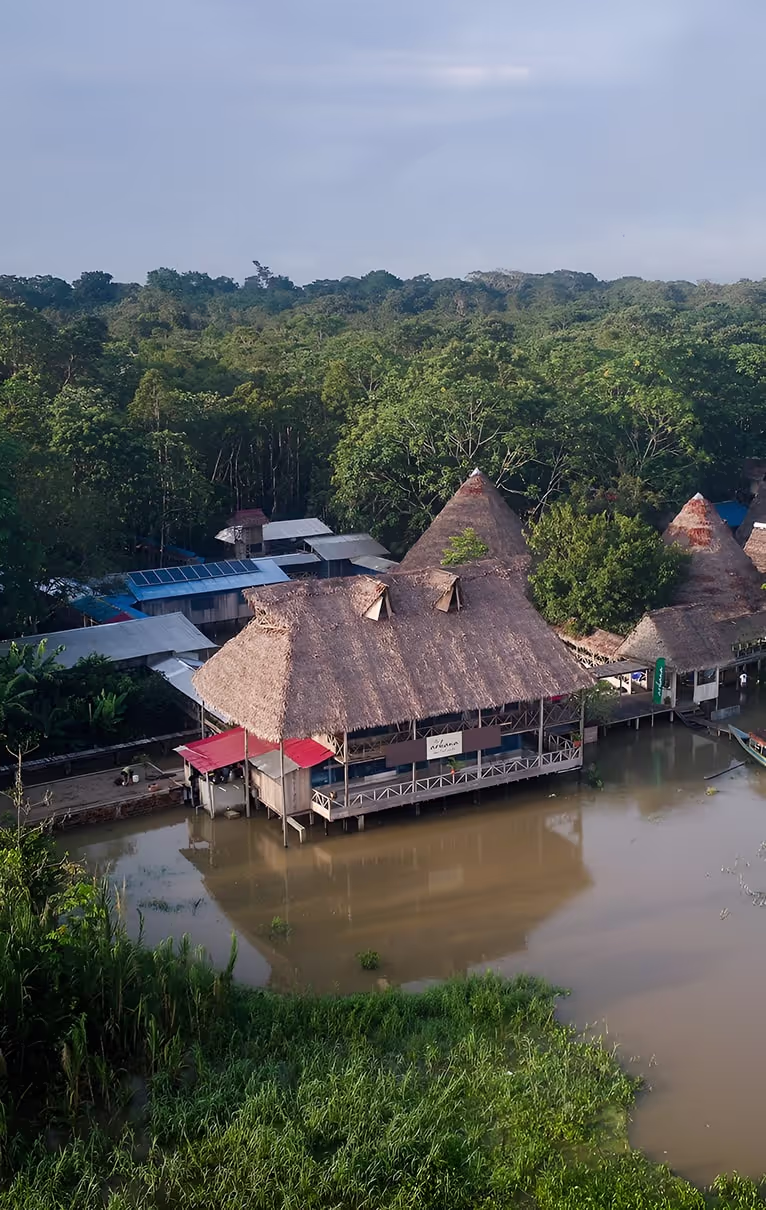 An aerial shot captures a serene retreat complex with traditional thatched roofs built on stilts above a calm river, surrounded by dense, green jungle foliage, showcasing a peaceful and natural sanctuary setting.
