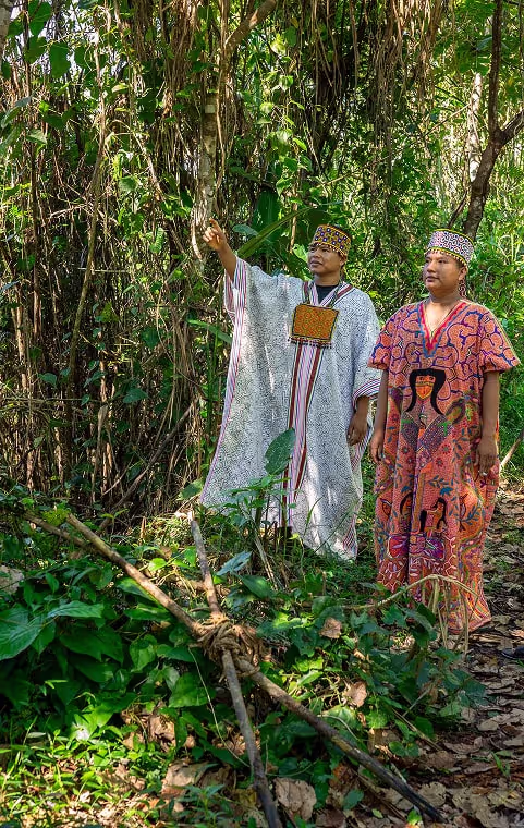 Indigenous healers walk through the jungle, sharing plant knowledge and ancestral teachings.