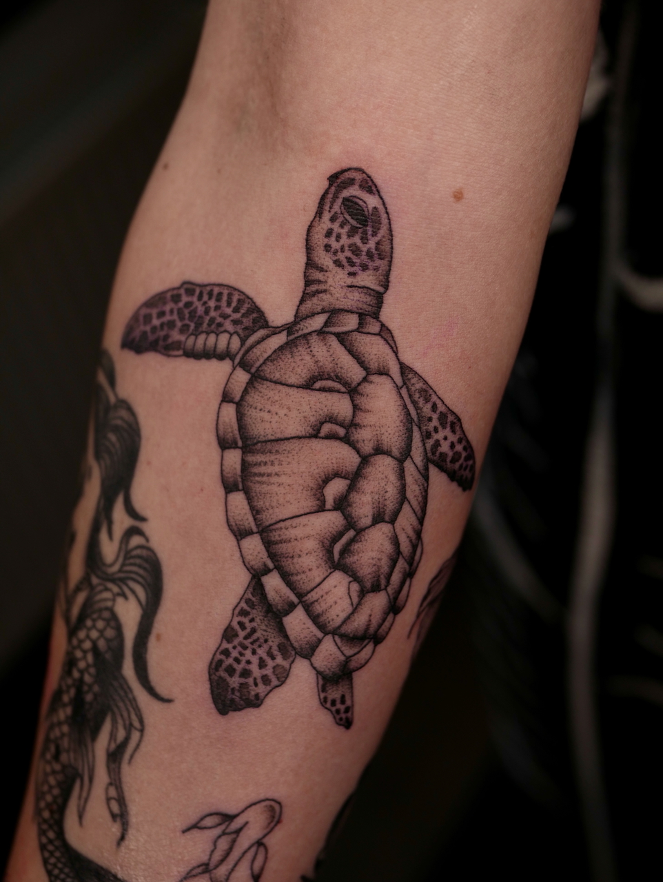 VinInk Tattoo Emmeloord Fineline Schildpad