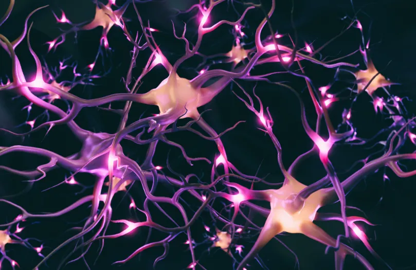 Neural pathways forming new connections